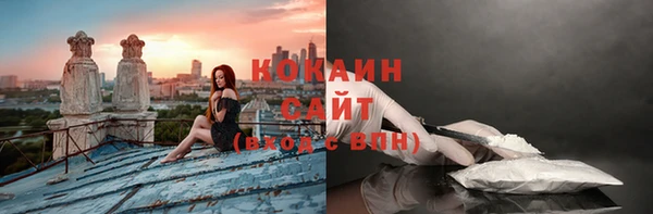 сатива Армянск