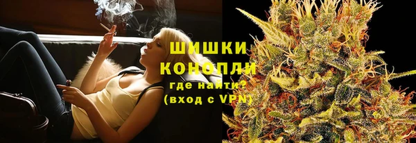 сатива Армянск