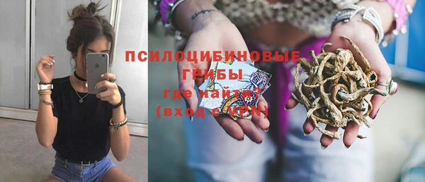 сатива Армянск