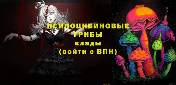 сатива Армянск